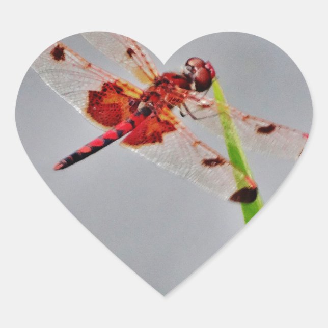 DSC00029.JPG HEART STICKER (Front)