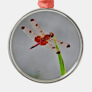 DSC00029.JPG METAL ORNAMENT