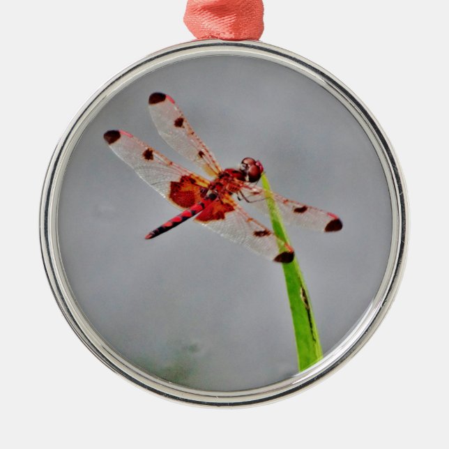 DSC00029.JPG METAL ORNAMENT (Front)