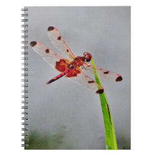 DSC00029.JPG NOTEBOOK