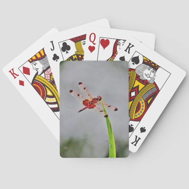 DSC00029.JPG POKER CARDS (Back)