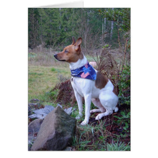 DSC00088 Rat dog Rick Cards