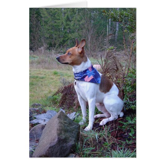 DSC00088 Rat dog Rick Cards (Front)
