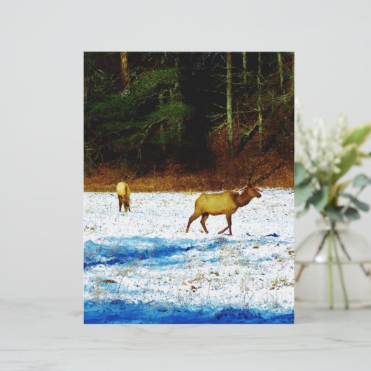 DSC00131.JPG (Standing Front)