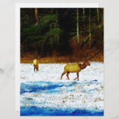 DSC00131.JPG (Front/Back)