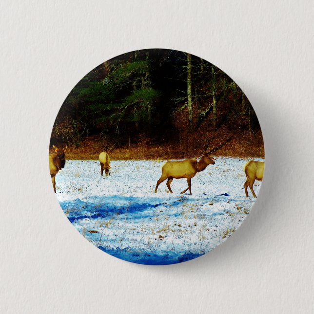 DSC00131.JPG BUTTON (Front)