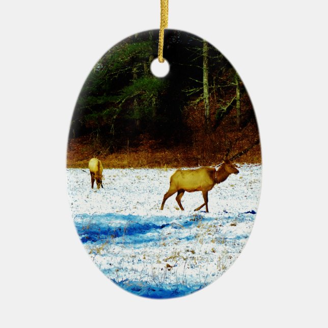 DSC00131.JPG CERAMIC ORNAMENT (Front)