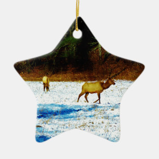 DSC00131.JPG CERAMIC ORNAMENT