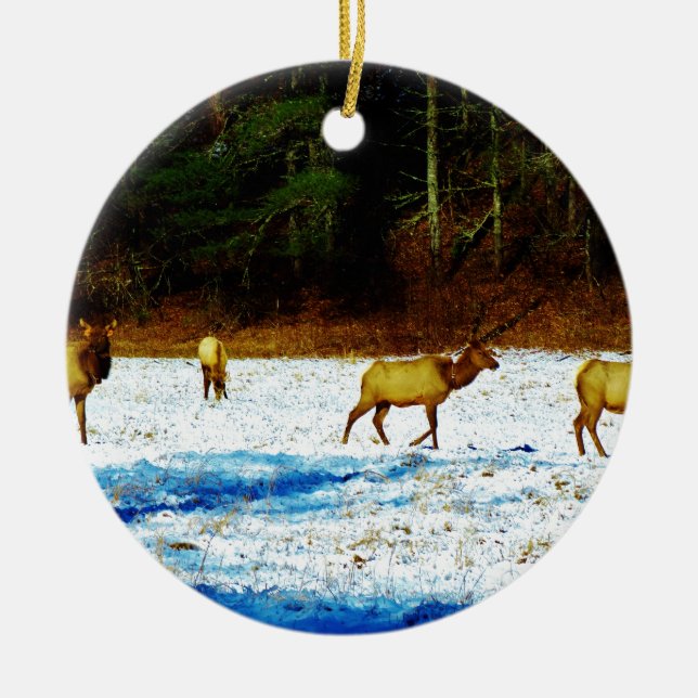 DSC00131.JPG CERAMIC ORNAMENT (Front)