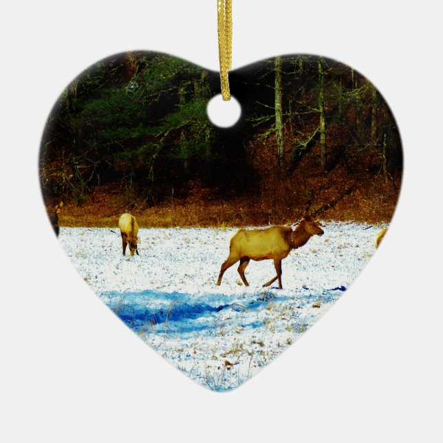 DSC00131.JPG CERAMIC ORNAMENT (Front)