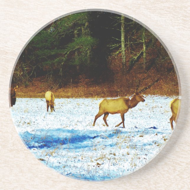 DSC00131.JPG DRINK COASTER (Front)