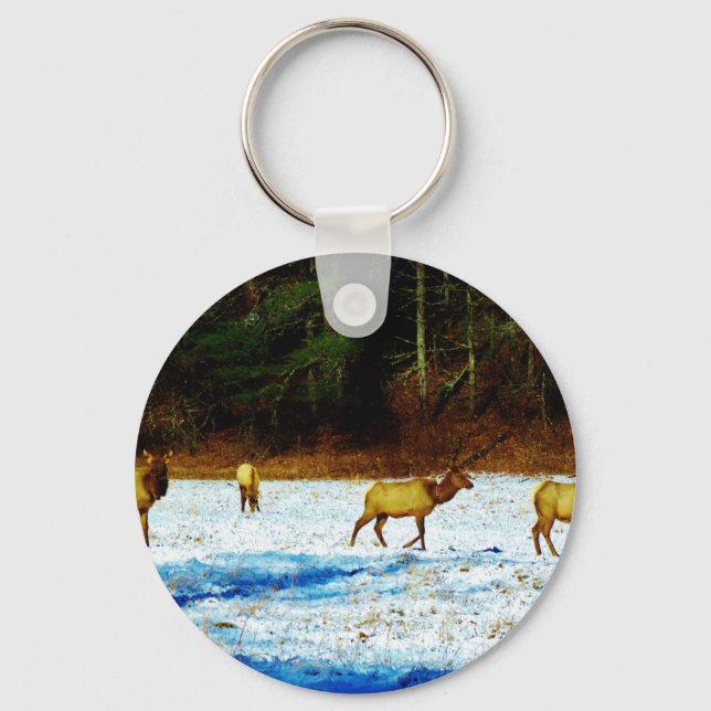 DSC00131.JPG KEYCHAIN (Front)