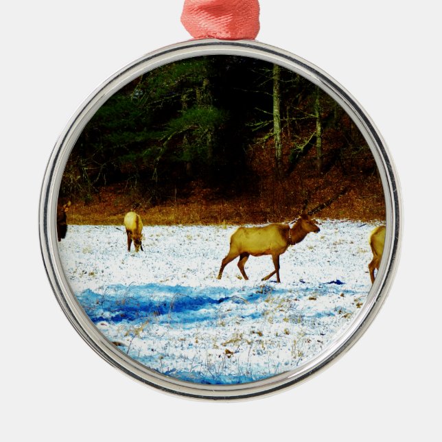 DSC00131.JPG METAL ORNAMENT (Front)