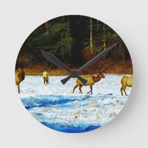 DSC00131.JPG ROUND CLOCK