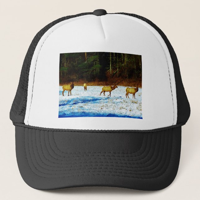 DSC00131.JPG TRUCKER HAT (Front)