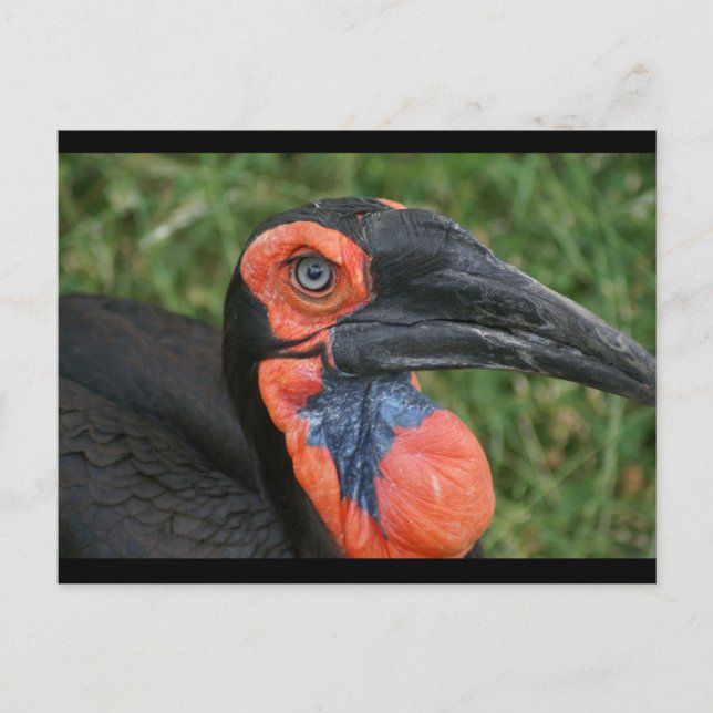 DSC00171 POSTCARD (Front)