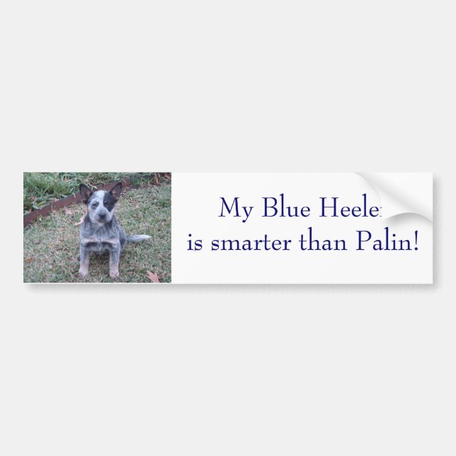 DSC00254, My Blue Heeleris smarter than Palin! Bumper Sticker (Front)