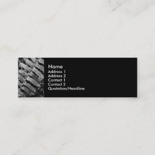 DSC02385 b Mini Business Card