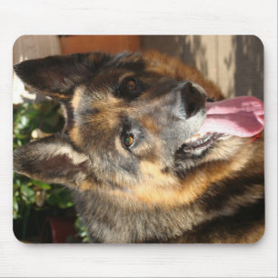DSC02554 MOUSE PAD