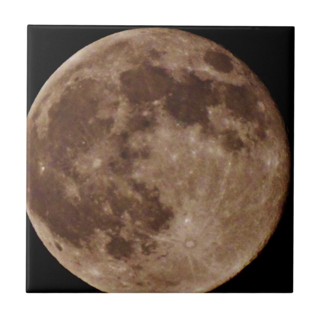 DSC02662.JPG CERAMIC TILE (Front)