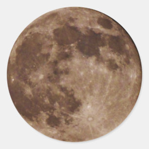 DSC02662.JPG CLASSIC ROUND STICKER