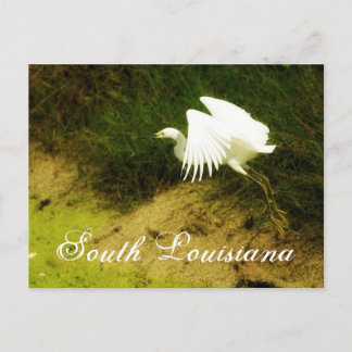 DSC08779bb, South Louisiana Postcard
