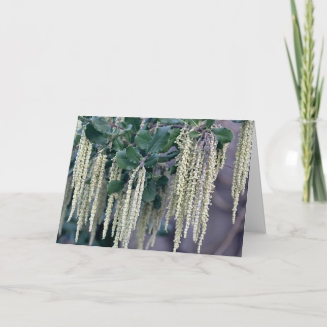 DSC_0119 CARD (Front)