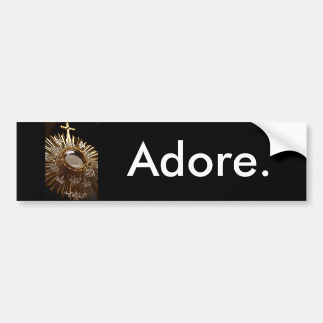 DSC_0130(1), Adore. Bumper Sticker (Front)