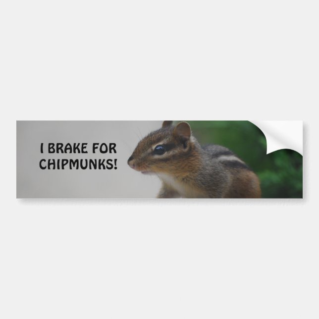 DSC_0241, I BRAKE FOR CHIPMUNKS! BUMPER STICKER (Front)
