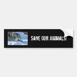DSC_2055, Save Our Animals! Bumper Sticker