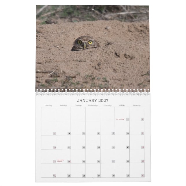 DSC_2816, 2011 CALENDAR (Jan 2027)