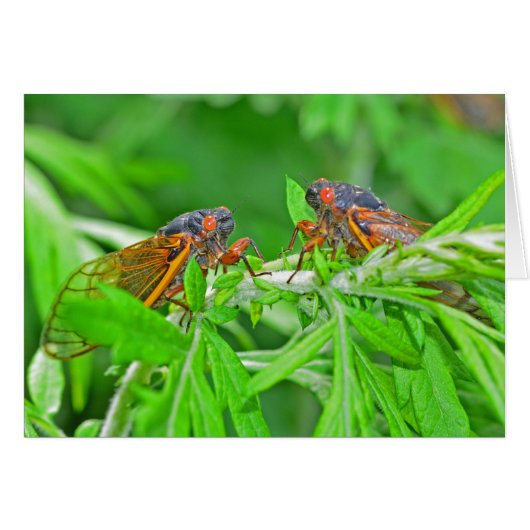 DSC_3480ps.jpg (Front Horizontal)