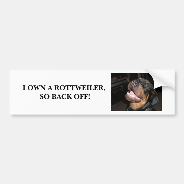 DSCF0313, I OWN A ROTTWEILER, SO BACK OFF! BUMPER STICKER (Front)
