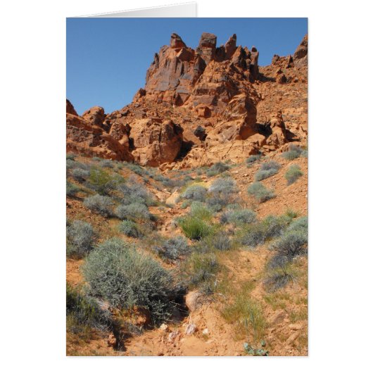 DSCF0344,~in your words~ (Front)