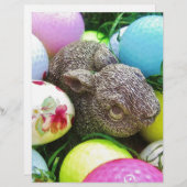 DSCF0438.JPG (Front/Back)