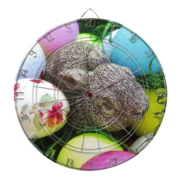 DSCF0438.JPG DARTBOARD WITH DARTS (Front)