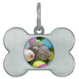 DSCF0438.JPG PET ID TAG