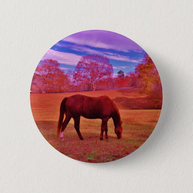 DSCF0536.JPG BUTTON (Front)