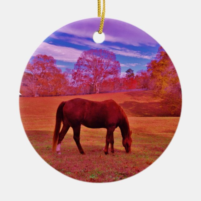 DSCF0536.JPG CERAMIC ORNAMENT (Front)