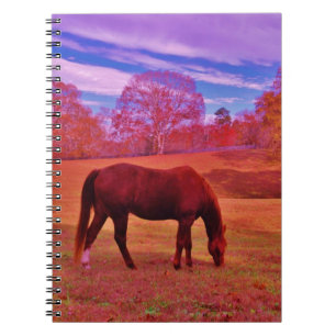 DSCF0536.JPG NOTEBOOK