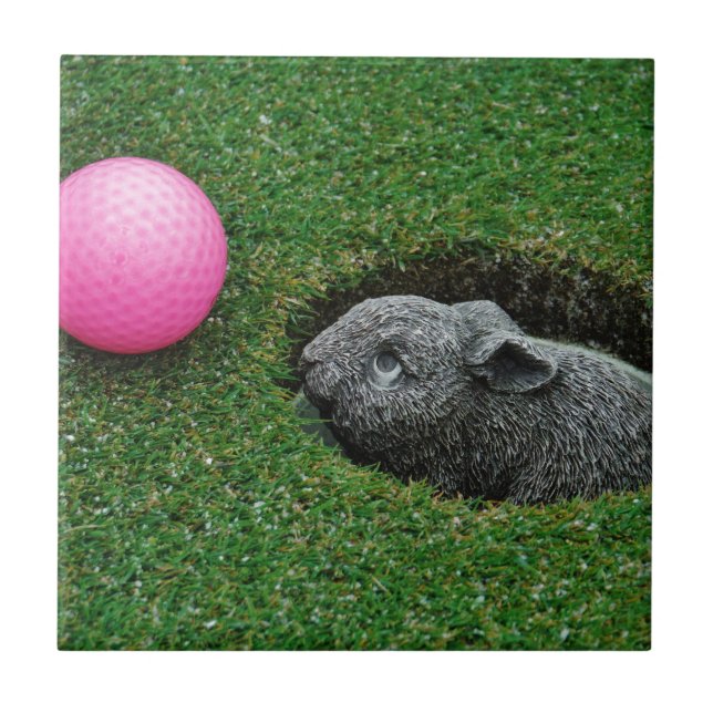 DSCF0652.JPG CERAMIC TILE (Front)