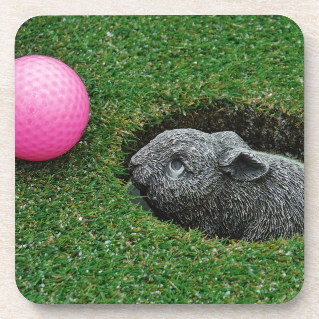 DSCF0652.JPG COASTER (Front)