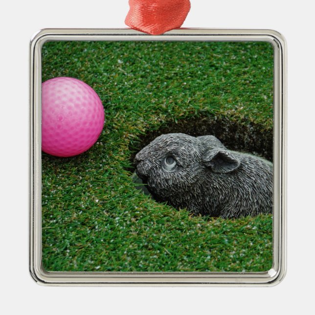 DSCF0652.JPG METAL ORNAMENT (Front)