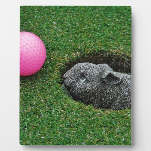 DSCF0652.JPG PLAQUE (Front)