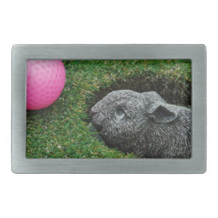 DSCF0652.JPG RECTANGULAR BELT BUCKLE