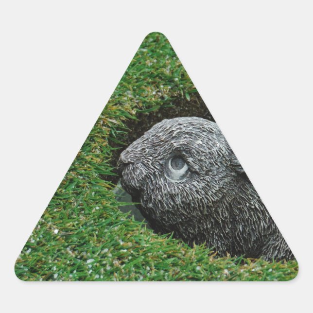 DSCF0652.JPG TRIANGLE STICKER (Front)