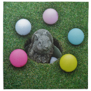 DSCF0698.JPG CLOTH NAPKIN