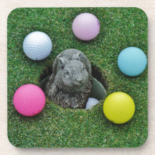 DSCF0698.JPG COASTER