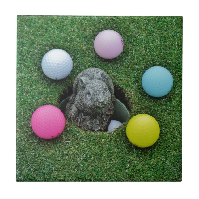 DSCF0698.JPG TILE (Front)