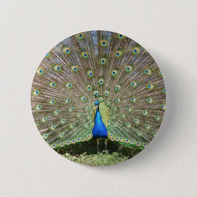 DSCF1062 PINBACK BUTTON (Front)